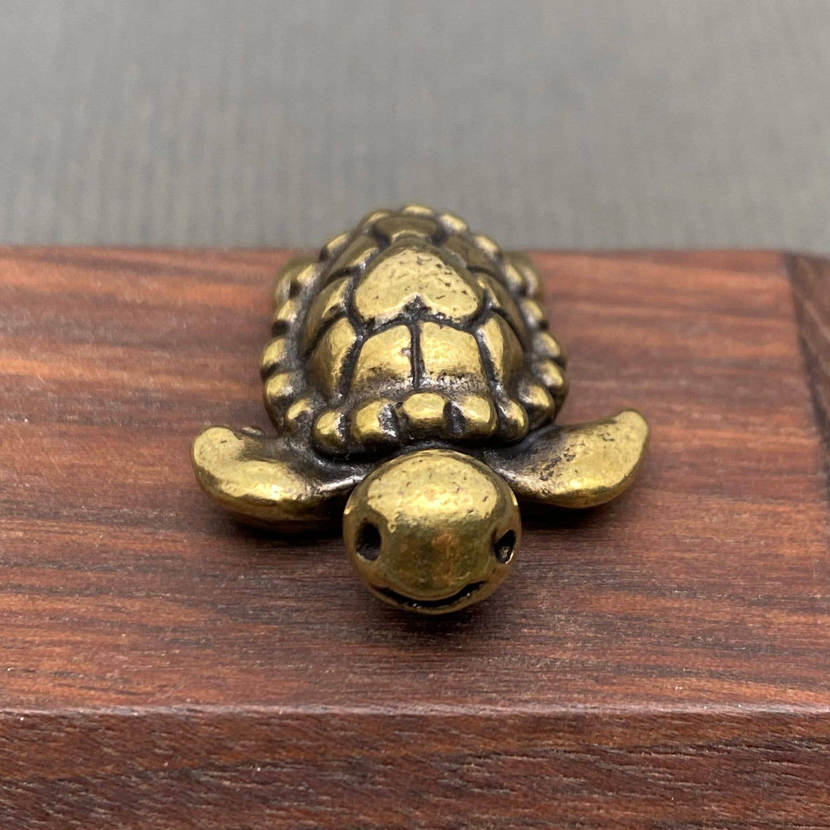 Brass Mini Turtle Terrarium Charm