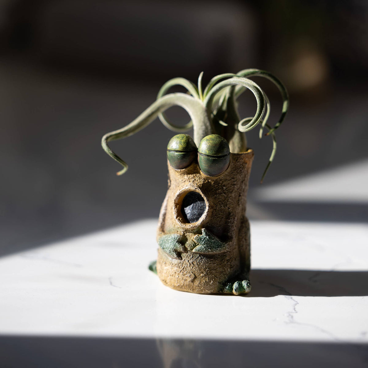Baby Singing Frog - Luca - Mini Blobhouse Planter