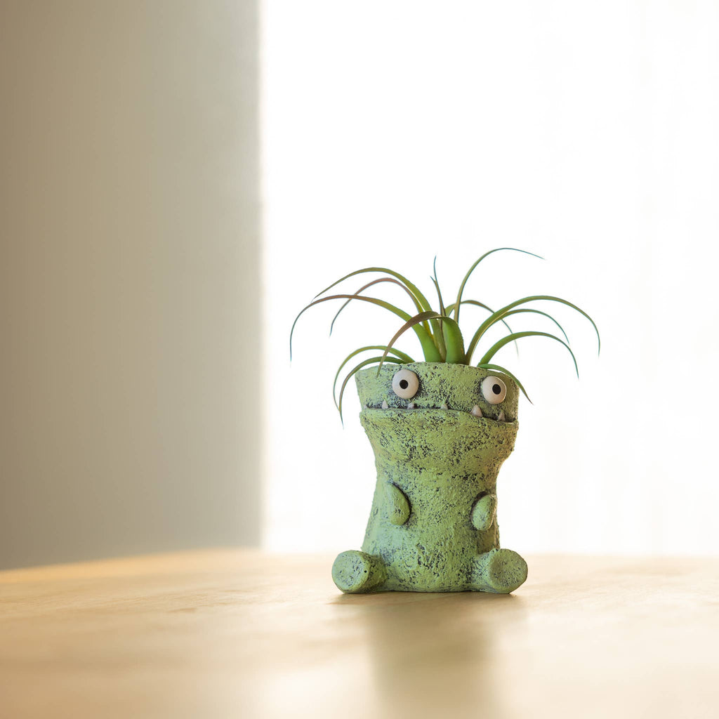 Tai the T-Rex Blobhouse Planter