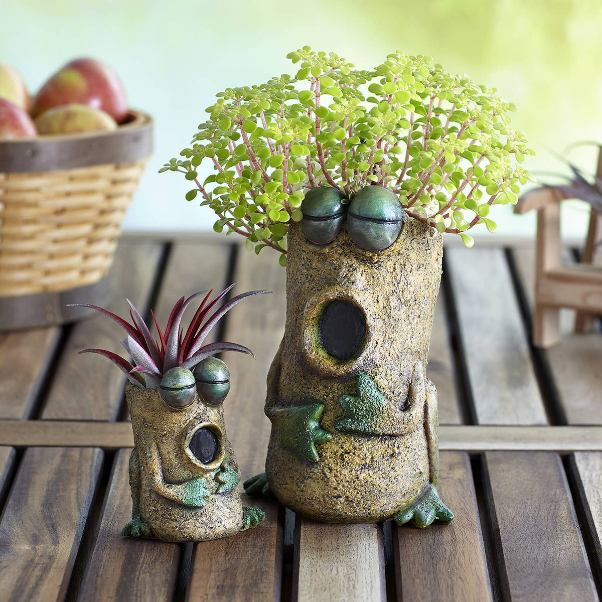 Baby Singing Frog - Luca - Mini Blobhouse Planter