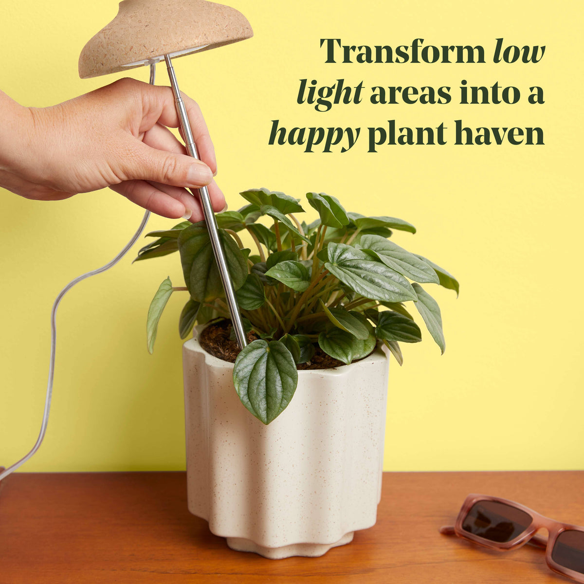 Instant Sun Extendable Grow Lamp