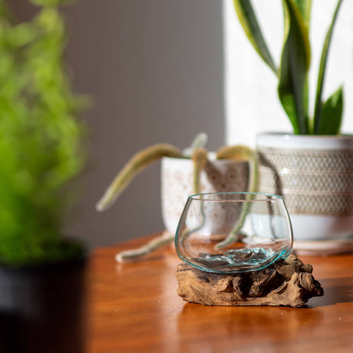 4" Open Mouth Molten Glass Terrarium