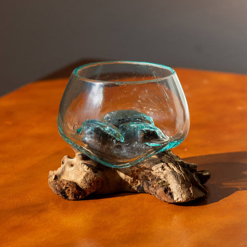 3" Open Mouth Molten Glass Terrarium
