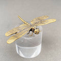 Brass Dragonfly Terrarium Charm