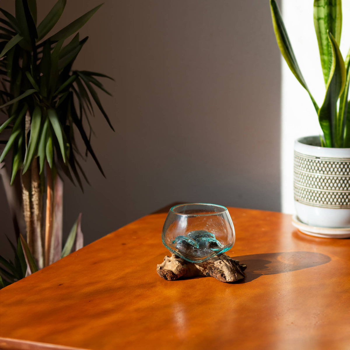 3" Open Mouth Molten Glass Terrarium