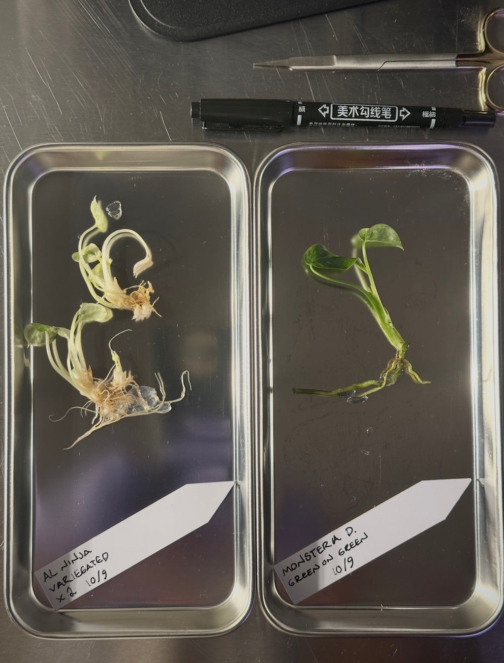 Propagation 101-102. Round Table Event 10/14/26. 7-9pm