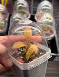 Propagation 101-102. Round Table Event 10/14/26. 7-9pm
