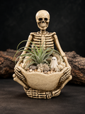 Spooky Air Plant Gardens- Drop In Craft at Fright and Bite 10am-5pm October 17th