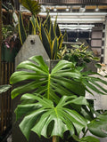 Grower's Choice