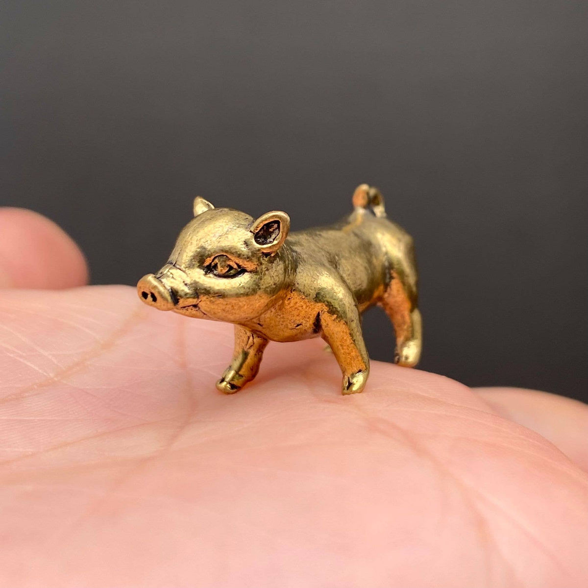 Brass Piglet Terrarium Charm