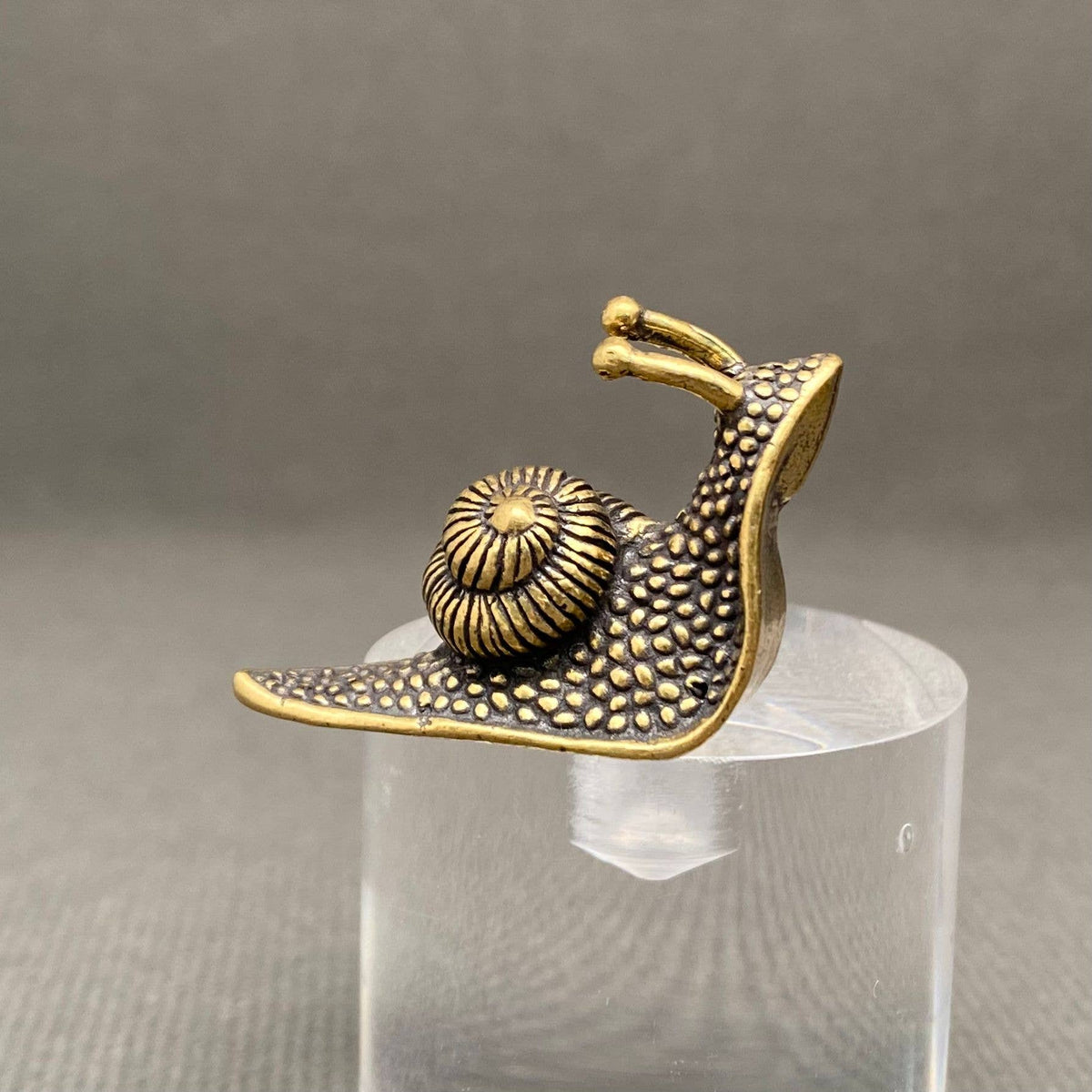Brass Snail Terrarium Charm