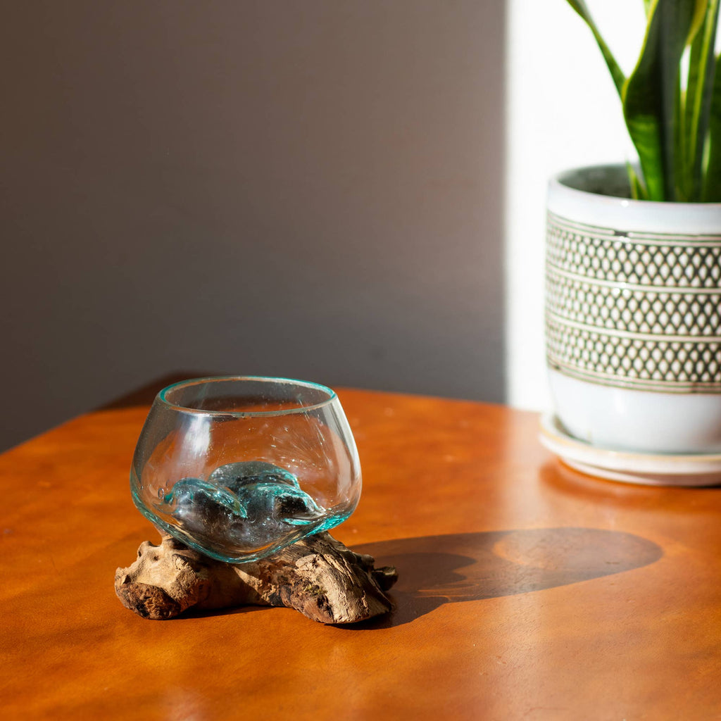 3" Open Mouth Molten Glass Terrarium