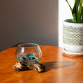 3" Open Mouth Molten Glass Terrarium