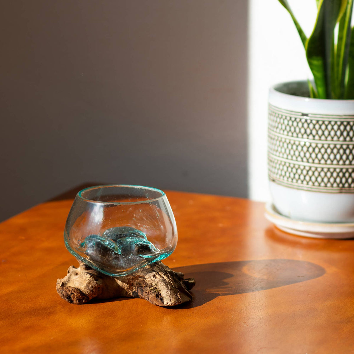 3" Open Mouth Molten Glass Terrarium